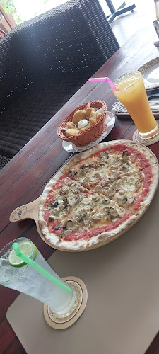 Comentarii opinii despre Freezy Cow