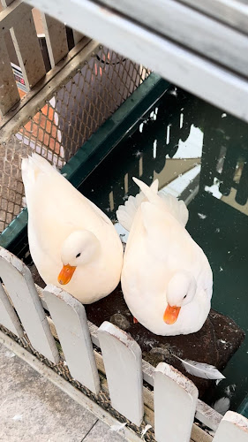 ถ. เจ้าฟ้าตะวันตก ตำบล ฉลอง Mueng, ภูเก็ต 83130