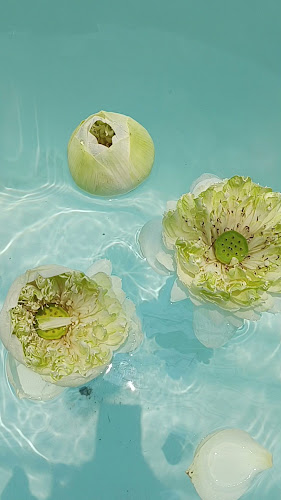 Opinii despre Ole Bar în อำเภอเมืองภูเก็ต - การบริการอาหารและที่พัก