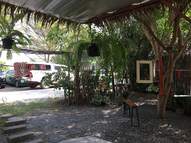 TREE&TEA - อำเภอบางบัวทอง