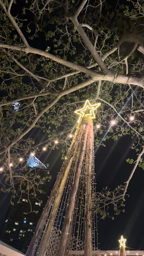 Comentarii opinii despre Sense of the sea