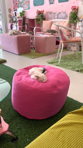 39, 57 ซอย ไสยวน ตำบล ราไวย์ Phuket, ภูเก็ต 83130