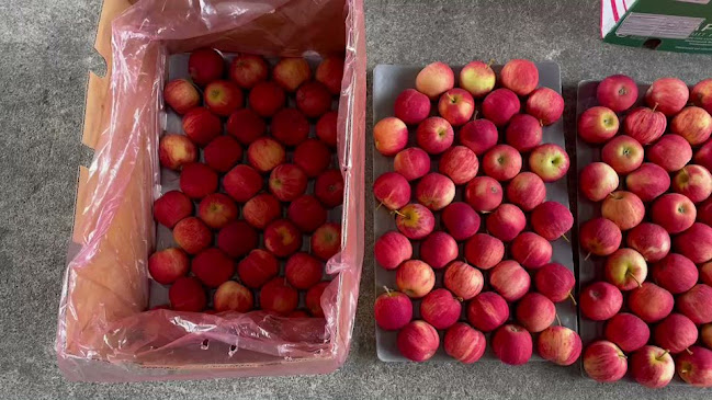 Opinii despre โกดังผลไม้ PCT în อำเภอหาดใหญ่ - การบริการอาหารและที่พัก