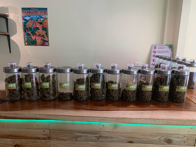 ZENCANNABISPATTAYA - การบริการอาหารและที่พัก