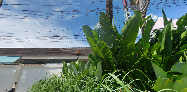 Lemonade Club - การบริการอาหารและที่พัก