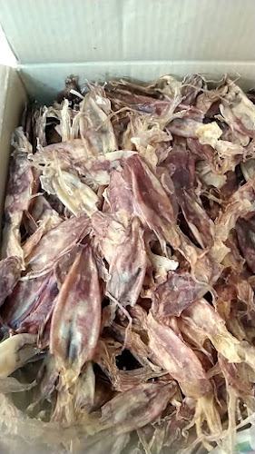 ร้านโลมาฟู้ดส์ - การบริการอาหารและที่พัก