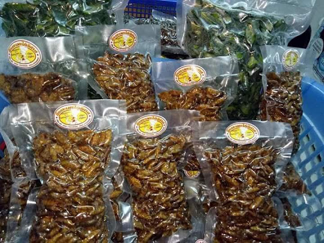 บ้านรวมแมลง@ตาลเดี่ยว