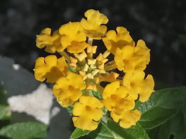 R7JW+P35 ถ. ปฏัก ตำบล กะรน อำเภอเมืองภูเก็ต ภูเก็ต 83100