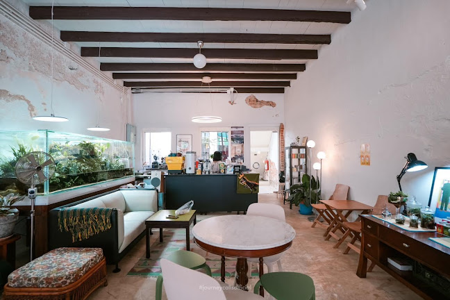 Comentarii opinii despre ไม้น้ำคาเฟ่ - กาแฟและต้นไม้น้ำ