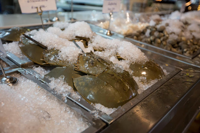 Comentarii opinii despre KOSA SEAFOOD MARKET