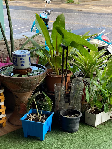 Uthai Coffee House - การบริการอาหารและที่พัก