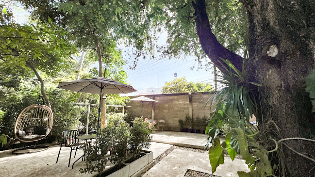 Comentarii opinii despre Meet Us Cafe