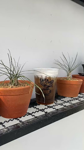 Cac & Cup - เมือง