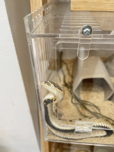 Opinii despre Tang Toh în Mueng - การบริการอาหารและที่พัก