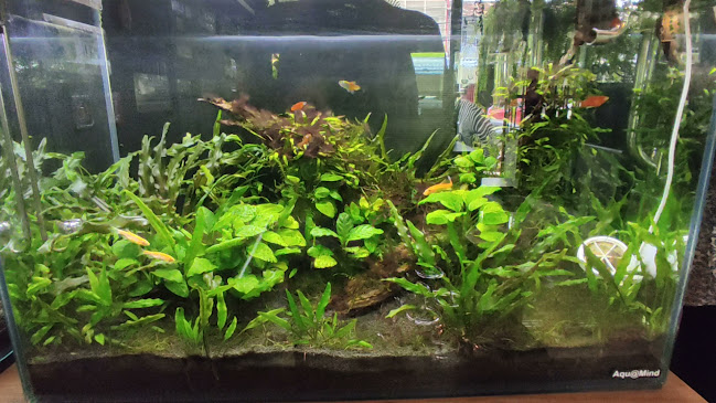 Boon Coffee:Nakhonsawan - อำเภอเมืองนครสวรรค์