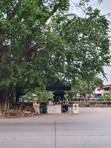 Comentarii opinii despre Alba Coffee