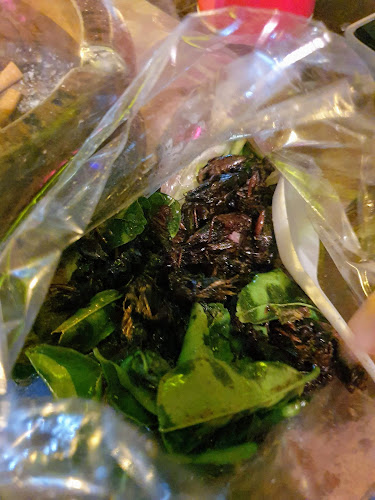 Opinii despre The Beach Place Jomtien în อำเภอบางละมุง - การบริการอาหารและที่พัก