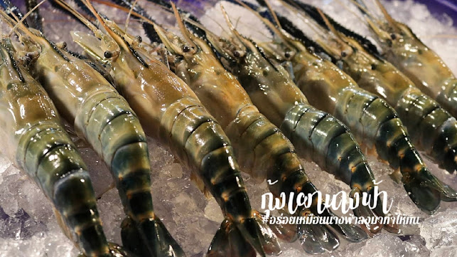 กุ้งเผานางฟ้า