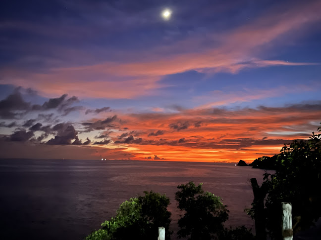 Salsa Mexicana patong - การบริการอาหารและที่พัก