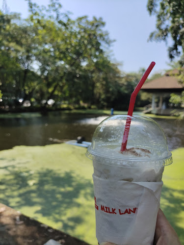 Opinii despre MilkLand Silpakorn University în อำเภอเมืองนครปฐม - การบริการอาหารและที่พัก