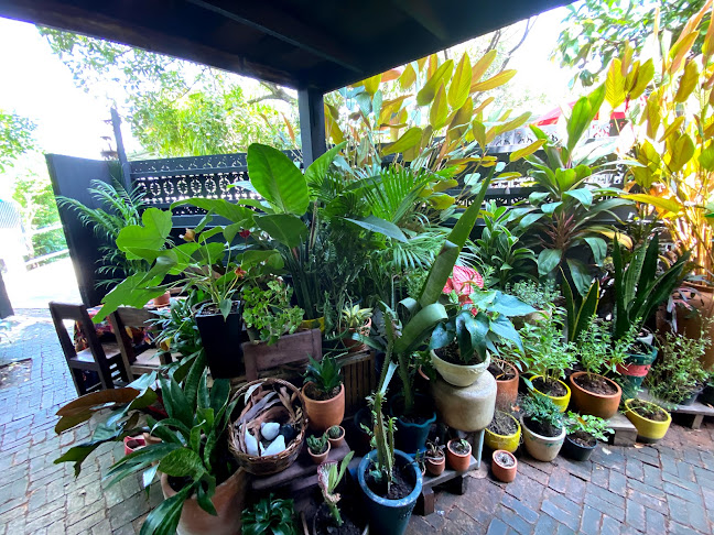 Comentarii opinii despre Baan Dampranot, Koh Kret