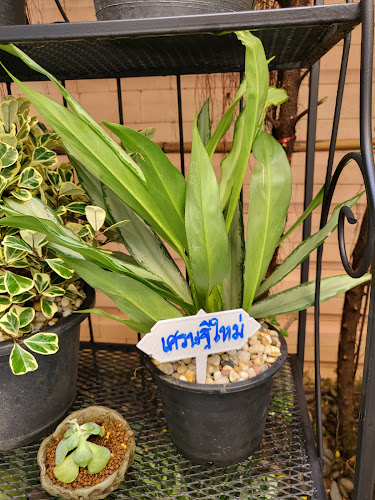 Comentarii opinii despre Make today a Happy day