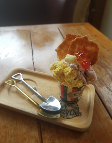 Comentarii opinii despre Freezy Cow