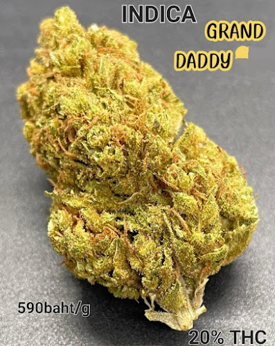 Blow Amur Burger Club - อำเภอบางละมุง