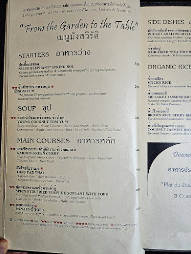 Comentarii opinii despre Blue Elephant