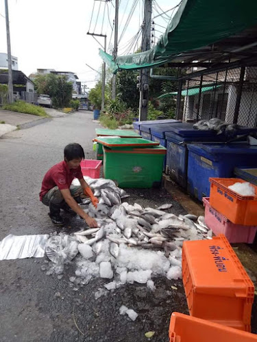 ตลาด บ้านเลขที่ 14 ซอย. ตลาดใหม่21 ถ. ตลาดใหม่ อำเภอเมืองสุราษฎร์ธานี สุราษฎร์ธานี 84000