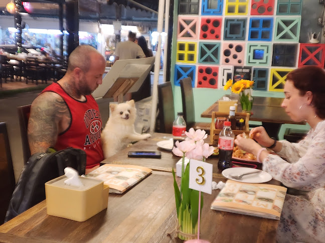 104 ตำบล, ถนน กะตะ ตำบล กะรน อำเภอเมืองภูเก็ต ภูเก็ต 83130