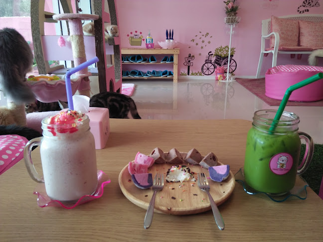 Opinii despre Neko Cat Cafe în Phuket - การบริการอาหารและที่พัก