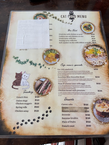 Cat Cafe by Cafe Meow Samui - อำเภอเกาะสมุย