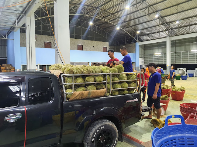 Opinii despre จันทร์จ้าว în เมือง - การบริการอาหารและที่พัก