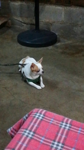 Opinii despre ก๋วยจั๊บนายปู้ în อำเภอเมืองนครสวรรค์ - การบริการอาหารและที่พัก