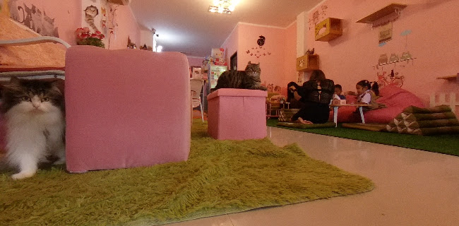 39, 57 ซอย ไสยวน ตำบล ราไวย์ Phuket, ภูเก็ต 83130