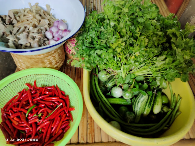 Comentarii opinii despre ไก่ต้มน้ำปลากาญจนา