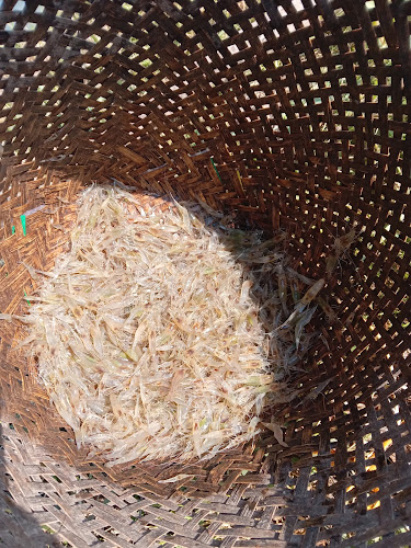 ขายอาหารทะเลแห้ง - การบริการอาหารและที่พัก