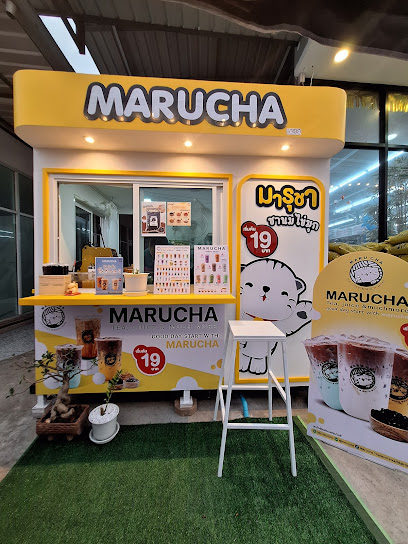 marucha ชานมไข่มุกรังสิตคลอง2