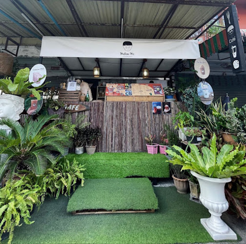 Comentarii opinii despre Mellow me by promsakorn