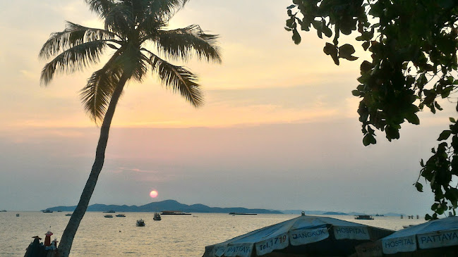 Comentarii opinii despre นิว เรด แคท บาร์