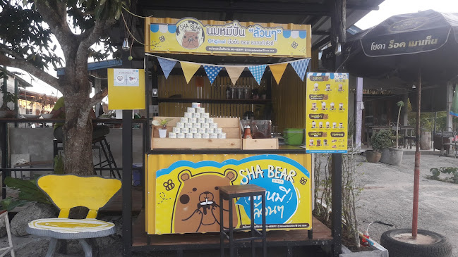 นมหมีล้วนๆ&สลัดผัก-โล