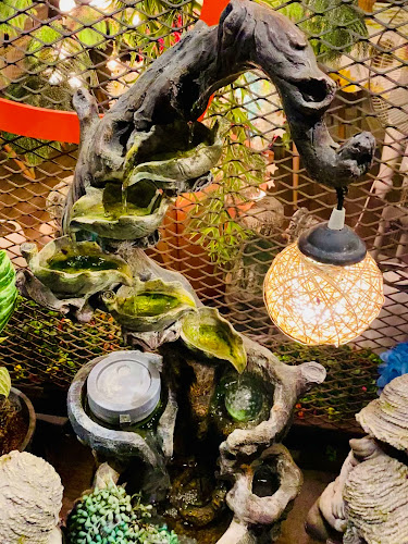 353/1 moo 4 , Naklue, อำเภอบางละมุง ชลบุรี 20150