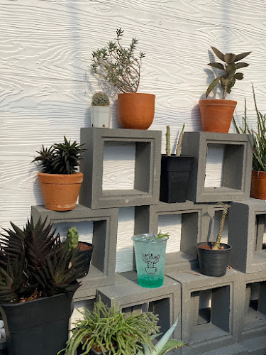 Comentarii opinii despre Cac & Cup