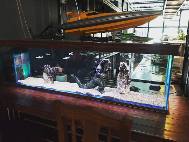 16 ถนน กาญจนวนิช ซอย 17 ตำบล หาดใหญ่ อำเภอหาดใหญ่ สงขลา 90110