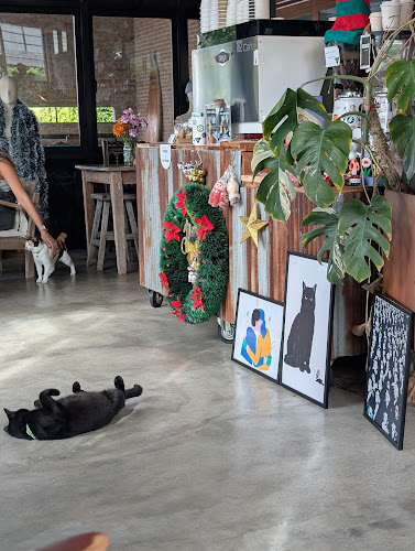 162Cafe - การบริการอาหารและที่พัก