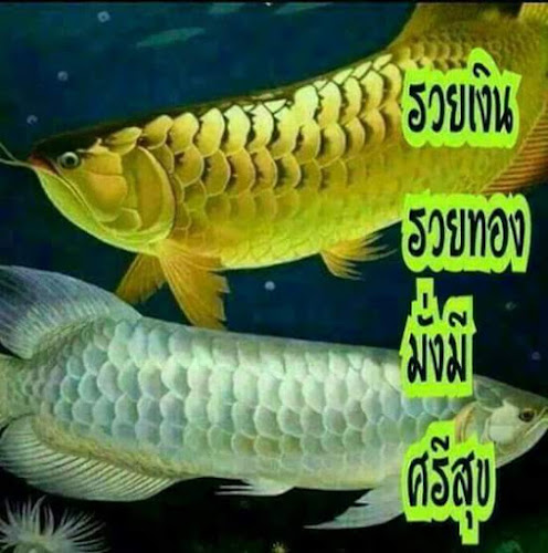 ร้านวิไลโภชนา