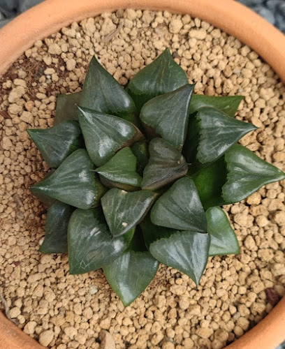 91 ตำบล จันทนิมิต เมือง จันทบุรี 22000