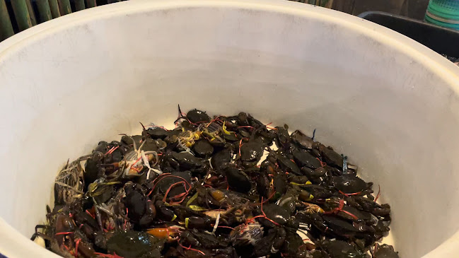 ซอย จอมเทียน 19 เมืองพัทยา อำเภอบางละมุง ชลบุรี 20150