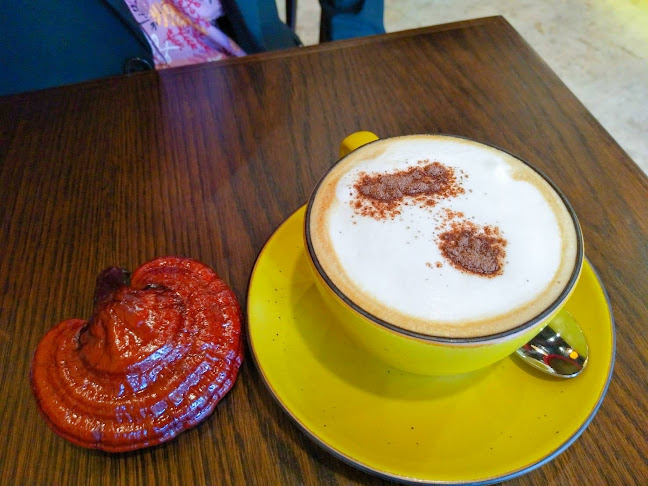 ถ. เยาวราช ตำบลตลาดใหญ่ อำเภอเมืองภูเก็ต ภูเก็ต 83000